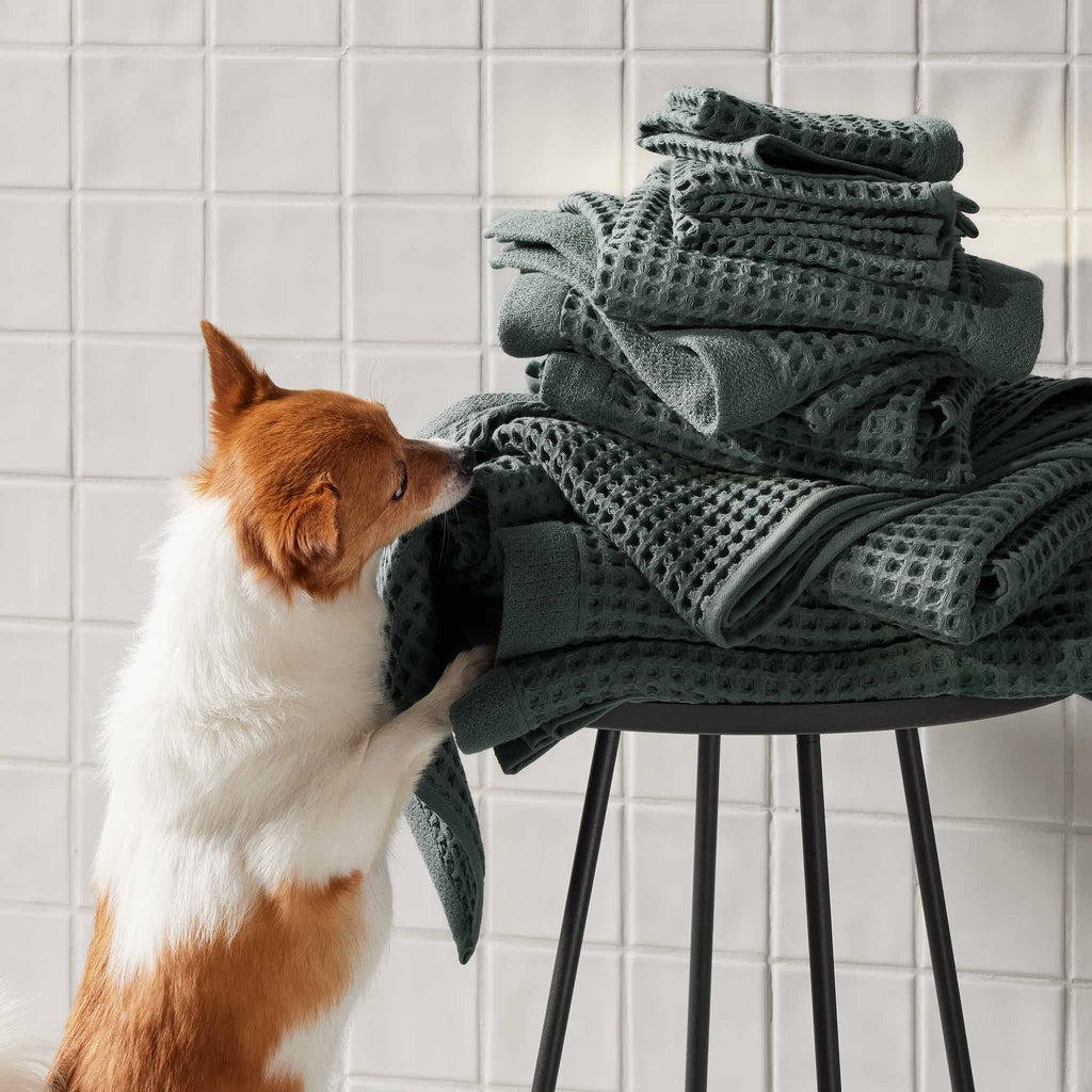 Dreamweave Waffle Bath Towels Set of 2 O1