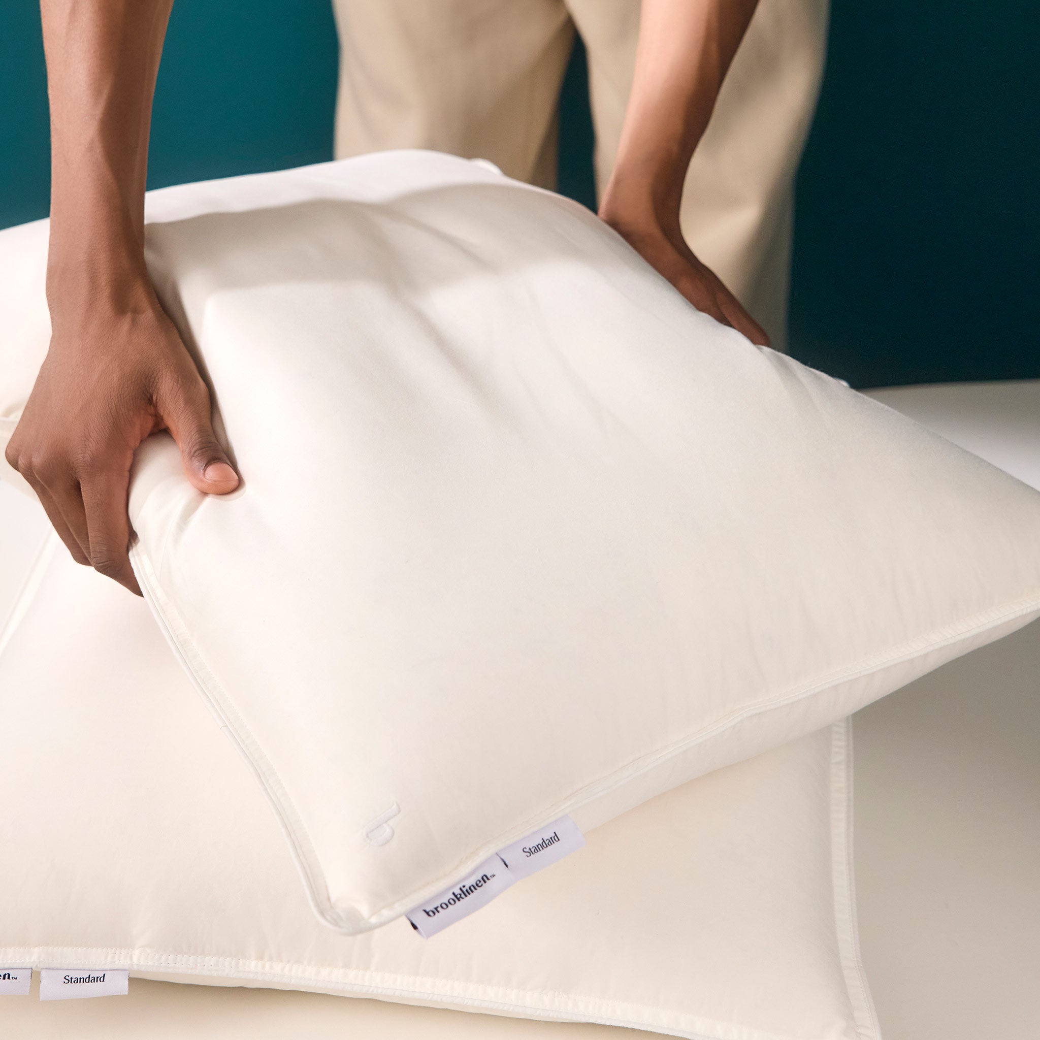 Down Pillow J6