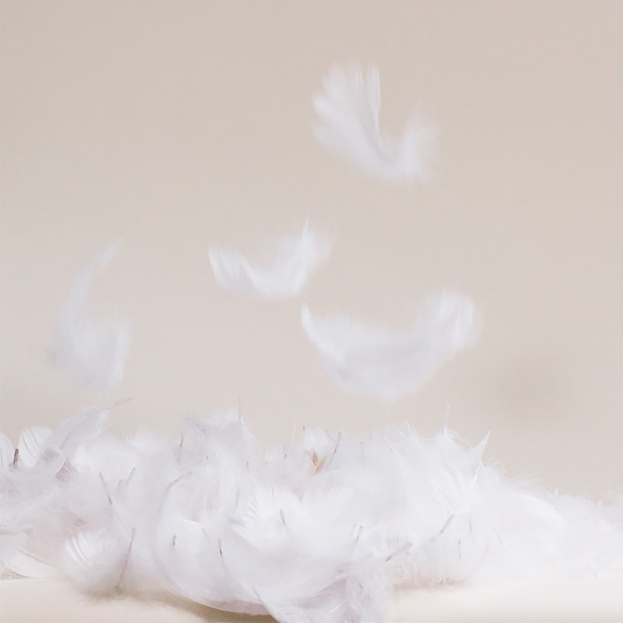 Down Comforter S6