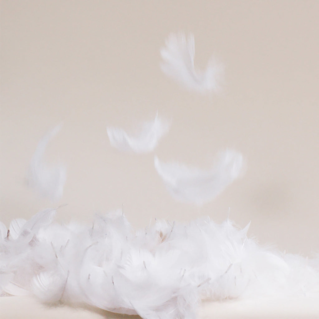Down Comforter S6