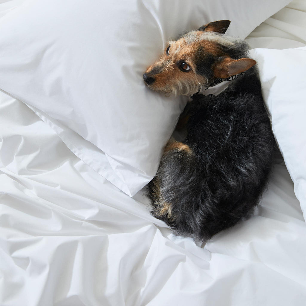 Classic Percale Core Sheet Set R8